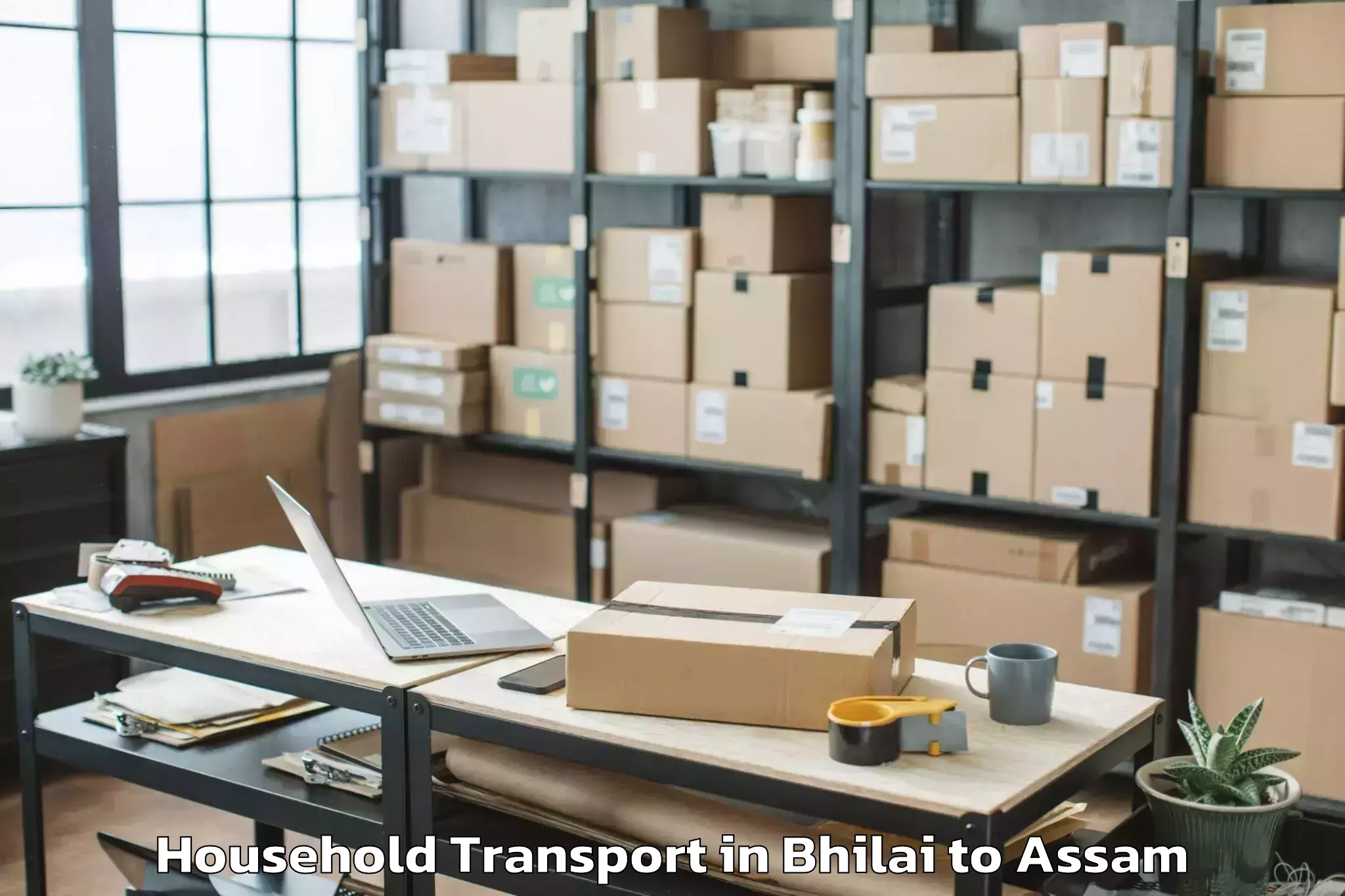 Book Bhilai to Sarupeta Pt Household Transport